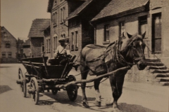 Mainzer Strasse. Heuwagen